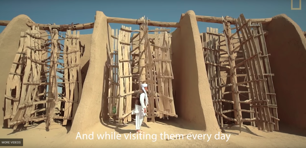 Les éoliennes iraniennes de Nashtifan, qui fut d'abord nommée Nish