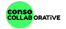 Rengenbox dans Conso Collaborative captureconsocolab